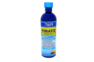 Các bệnh nhiễm nấm ở cá API Pimafix 473ml